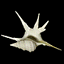 Ó¤H¹Ï¥Ü(Avatar)
