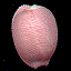 ӤHϥ(Avatar)