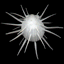 ӤHϥ(Avatar)