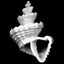 ӤHϥ(Avatar)